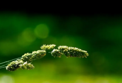 ​恭喜哥哥结婚的祝福语-40句