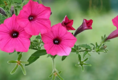 ​53岁的生日祝福语 简短独特 - 127句