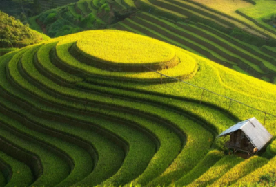 ​倒酒祝福语-50句