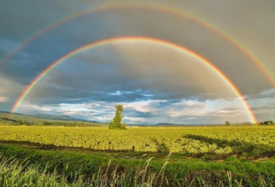 ​四字祝福语妈妈-58句