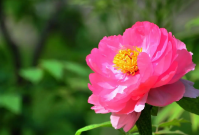 ​对长辈说的祝福语-38句