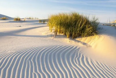 ​亲人结婚祝福语8个字-52句