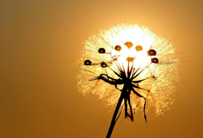 ​幼儿小故事100篇在线阅读