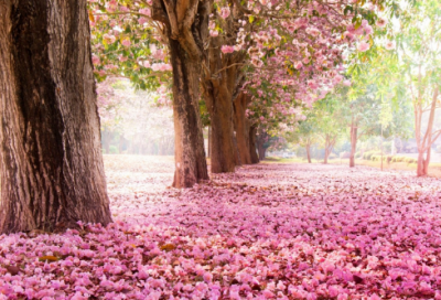 ​哲理故事300篇超短