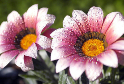 ​幼儿小故事100篇精选