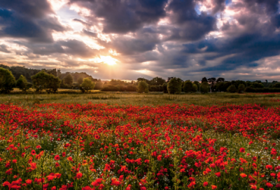 ​故事大王讲故事100篇在线阅读
