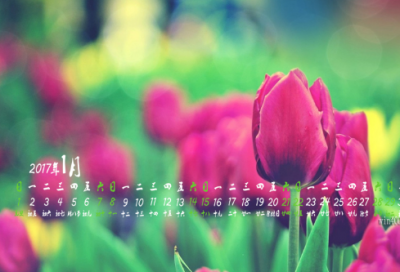 ​一年级小故事100篇原版