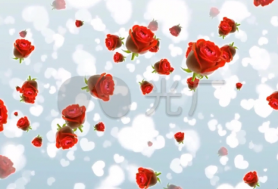 ​儿童睡前故事100篇在线读