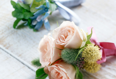 ​100个寓言故事原版