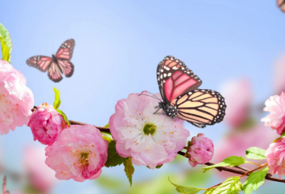 ​成语故事大全100篇精选