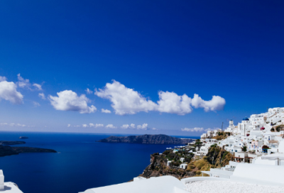 ​面包房里的猫的故事（面包房里的猫主要内容简介）