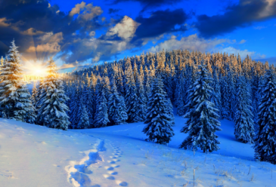 ​关于体育明星的故事（著名运动员的励志故事）