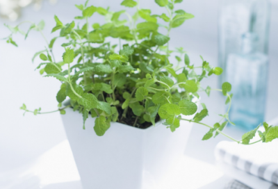 ​破釜沉舟的典故（破釜沉舟的历史小故事）