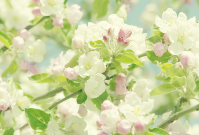 ​扬长补短的故事（善于取长补短的寓言故事）