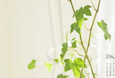 ​经典搞笑故事短篇（民间笑话故事大全）