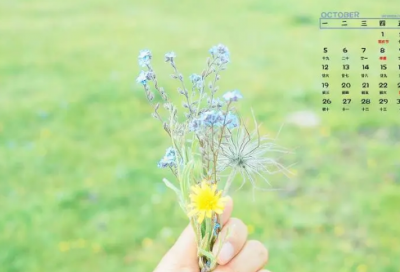 ​小羊和狼的故事告诉我们什么道理（小羊和狼的启示和道理）