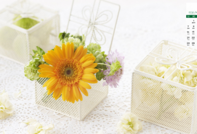 ​鲨鱼的故事睡前故事（关于鲨鱼有什么故事）