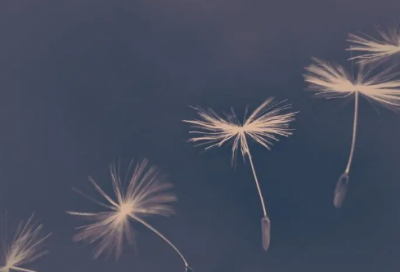 ​民间故事三百篇大全（经典民间故事）