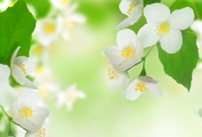 ​杞人忧天翻译及原文（杞人忧天的故事寓意）