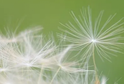 ​古代关于宽容的故事（历史上宽容的典故）