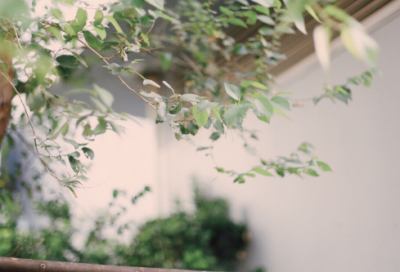 ​神笔马良的故事（神笔马良的主要内容简短）