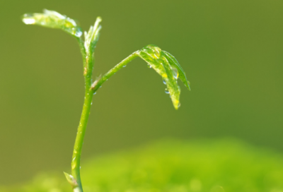 ​正能量小故事及感悟短（激励励志经典故事）