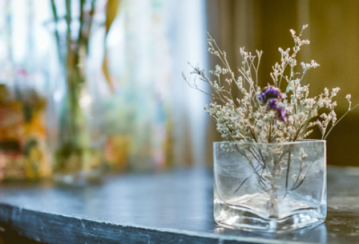 ​恐龙睡前故事（关于恐龙的简短小故事）