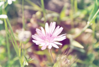 ​我想飞的故事有什么（我想飞的故事推荐）