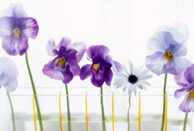 ​关于选择的故事励志（选择很重要的励志小故事）