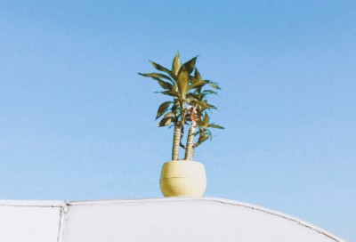 ​屈原爱国的故事简短（端午节屈原的故事简写）