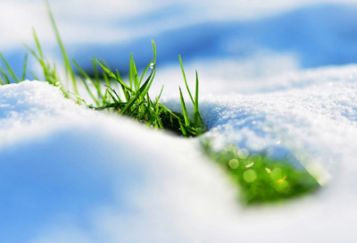 ​早会分享正能量小故事（简短晨会激励小故事分享）