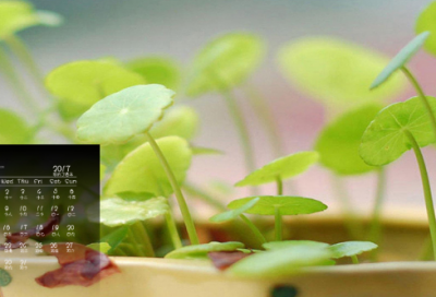 ​孔子拜师的故事及启示（孔子拜师故事的内容简介）