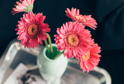 ​关于贾岛推敲的故事（推敲的典故给人启示）