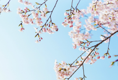 ​神话故事后羿射日的故事（后羿射日的童话故事）