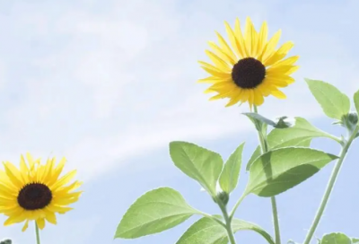 ​哄睡小故事暖心（短篇哄小宝贝睡觉的小故事）