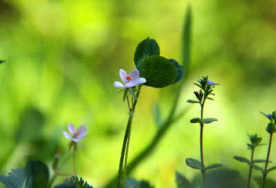 ​三国演义之火烧赤壁主要内容（火烧赤壁故事内容及感悟）