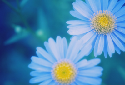 ​最催泪的伤感爱情故事（关于爱情的5个伤感故事）