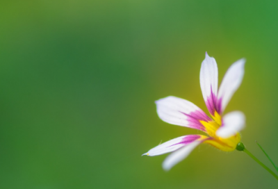 ​关于老人的故事（百岁老人简介事迹）