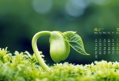 ​乌衣巷刘禹锡赏析（乌衣巷创作背景故事）