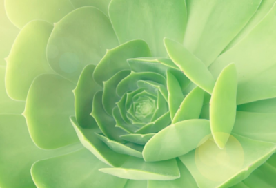 ​关于马的典故有哪些（有关马的故事传说）