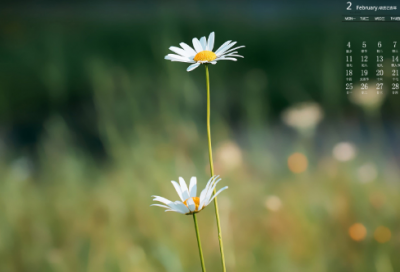 ​哈姆雷特人物分析（哈姆雷特故事情节梳理）