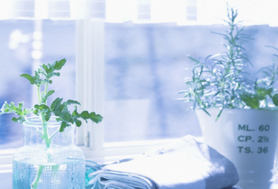 ​才高八斗的典故是指的谁（才高八斗的故事道理）