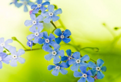 ​关于连的成语故事出处（带连的成语故事摘抄）