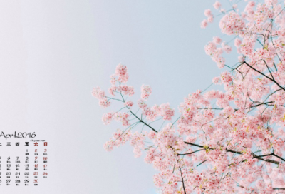 ​关于草木皆兵的故事（草木皆兵的故事概括内容）