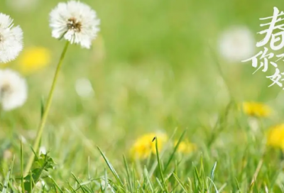 ​历史上感人的母爱故事（15个催泪母爱小故事推荐）