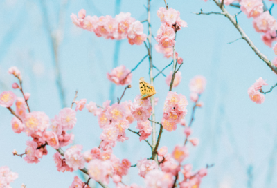 ​汉族的民间故事有什么（千古流传的民间爱情故事）