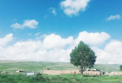 ​爱因斯坦小时候的故事有哪些（爱因斯坦的故事分享）