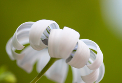 ​林冲的故事有哪些（豹子头林冲的3个故事简介）