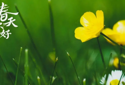 ​动物的童话故事有哪些（6个有关动物的童话故事）