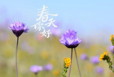 ​惊弓之鸟文言文翻译及原文（惊弓之鸟故事及道理）